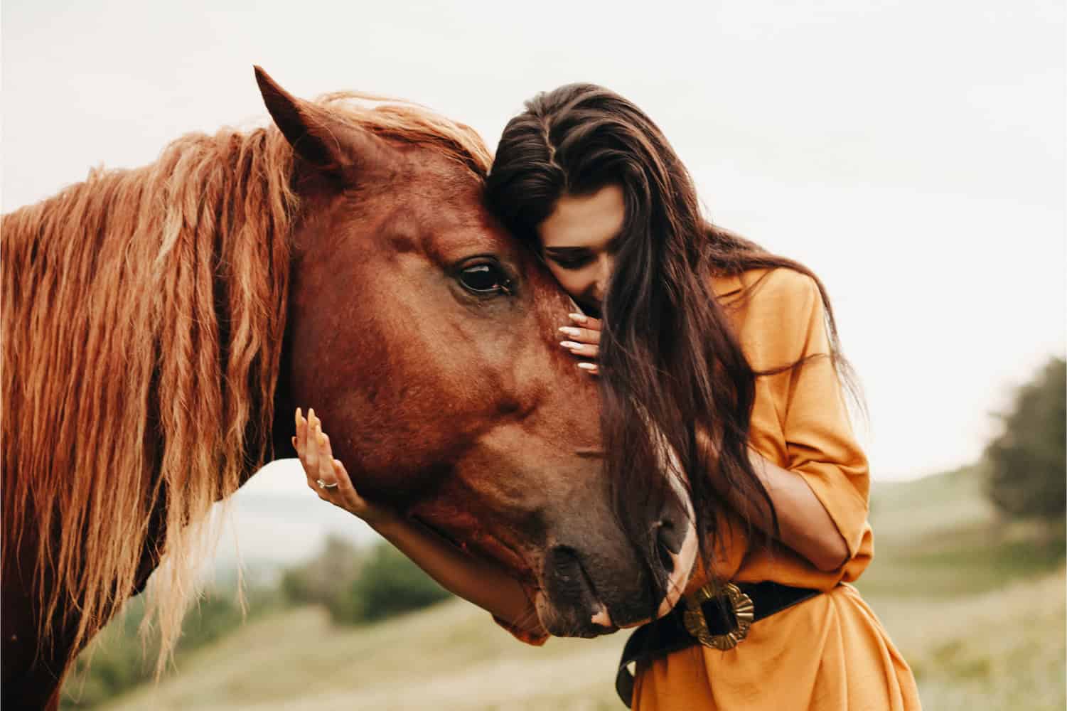 Woman hugging horse