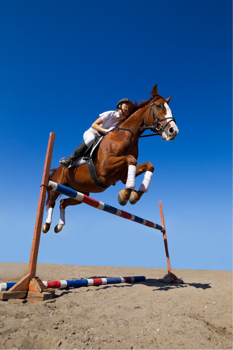 Artboard 1-80 Equestrian jumping over hurdle