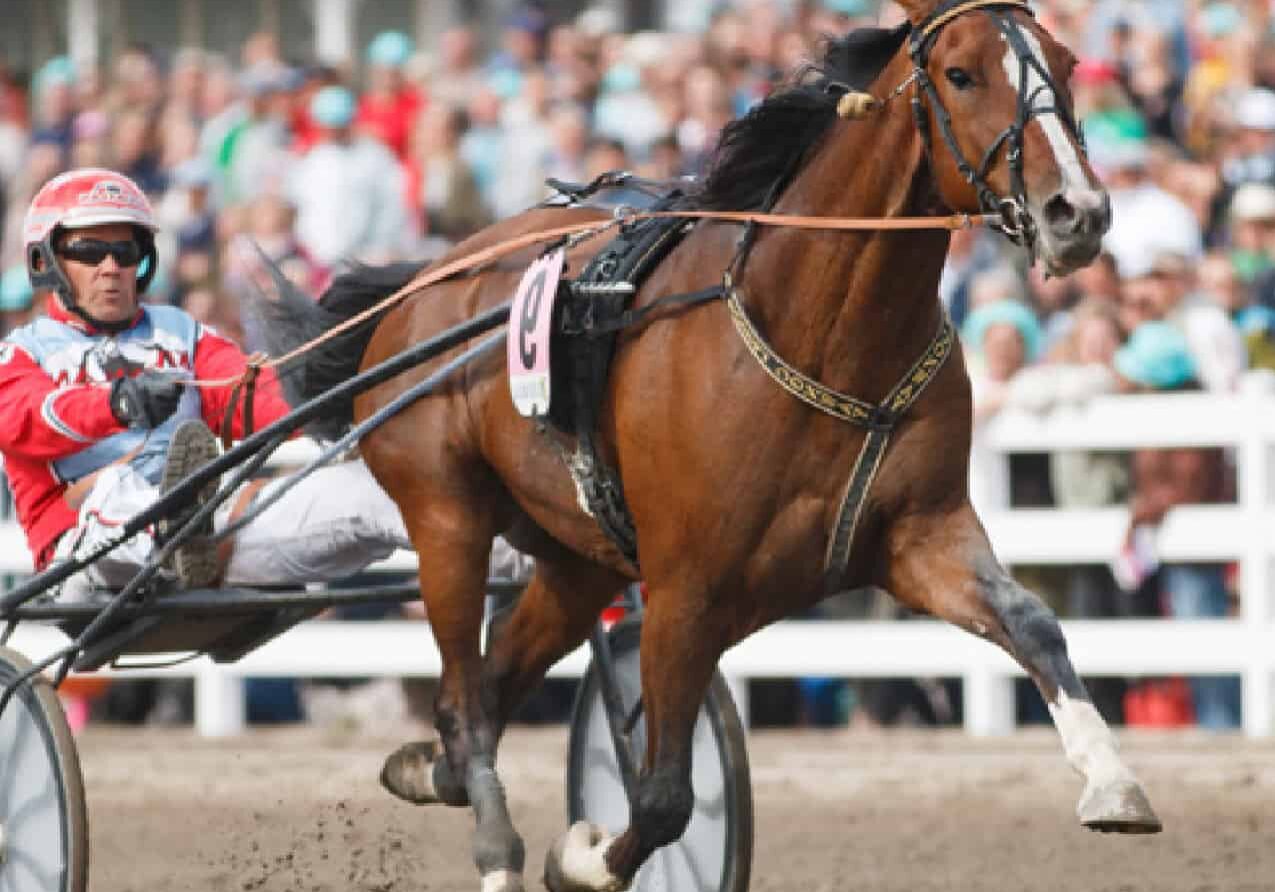 Koivunen-01-01 Harri Koivunen race horse trotting with driver